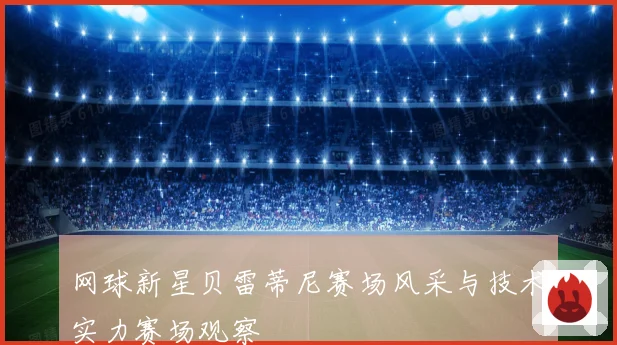 网球新星贝雷蒂尼赛场风采与技术实力赛场观察