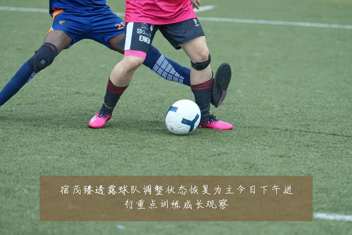 宿茂臻透露球队调整状态恢复为主今日下午进行重点训练成长观察